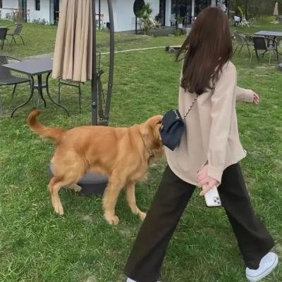 丽玛姐的鬼魂